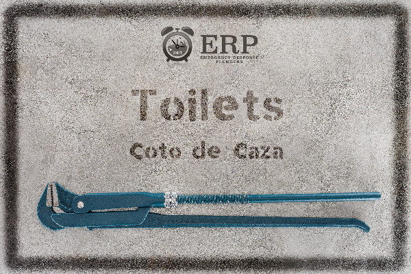 Clogged Toilet Coto de Caza