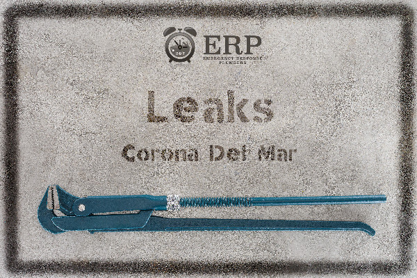 Corona Del Mar Leak detection