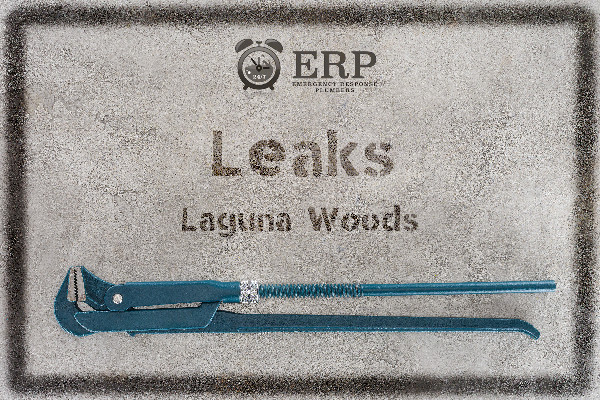 lw-leaks