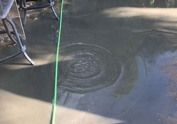 Dana Point house with clogged drain in backyard